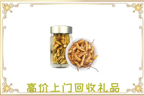 南湖周边回收虫草